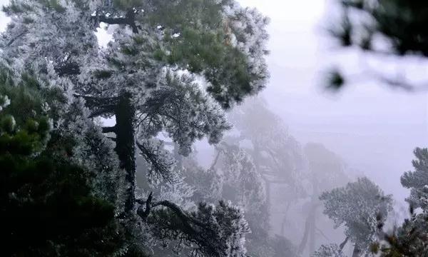 逃离废弃的建筑