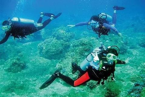 《星空下的对话》张朝阳对话冯仑:谈创业机会、谈网红经济、谈价值使命
